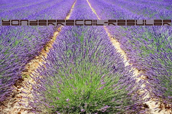 YonderRecoil-Regular Font examples