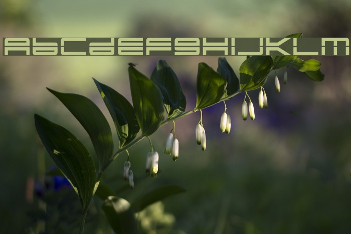 YonderRecoil Font examples