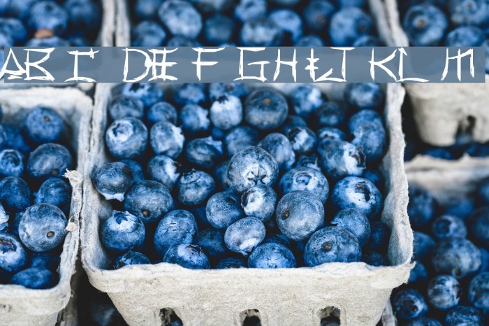 Yonezawa Font examples