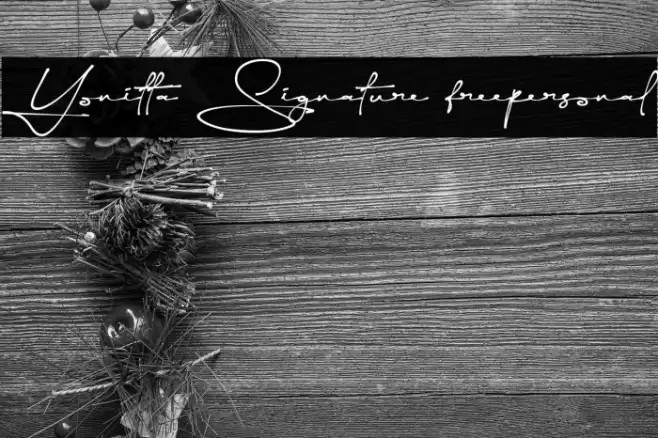 Yonitta Signature freepersonal Font examples