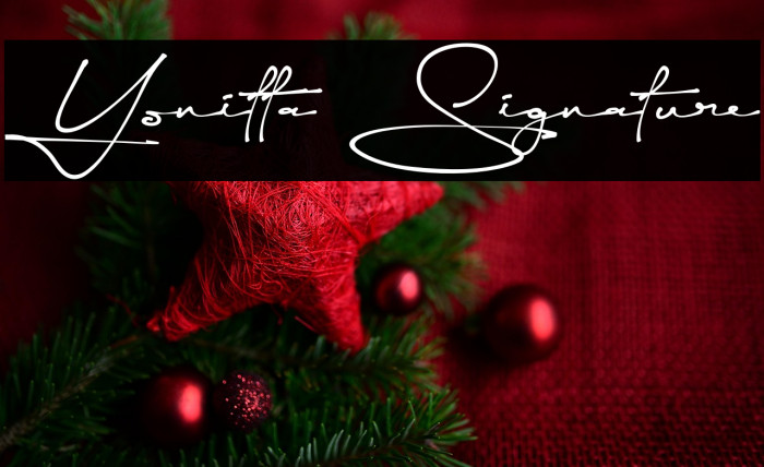 Yonitta Signature Example 1