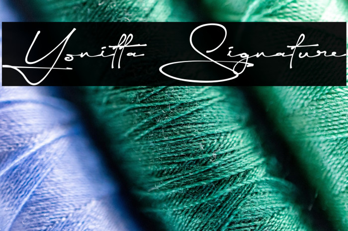 Yonitta Signature Example 3