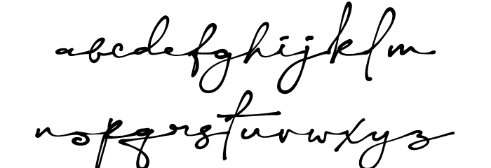 Yonitta Signature Font LOWERCASE
