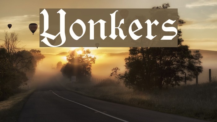 Yonkers Polices examples