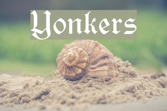 Yonkers Polices examples