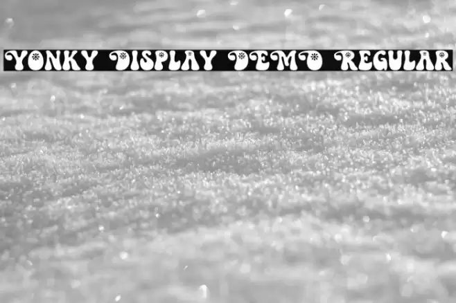 Yonky Display DEMO Regular Polices examples