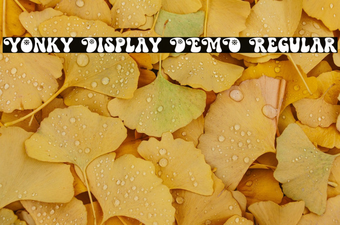 Yonky Display DEMO Regular Example 2