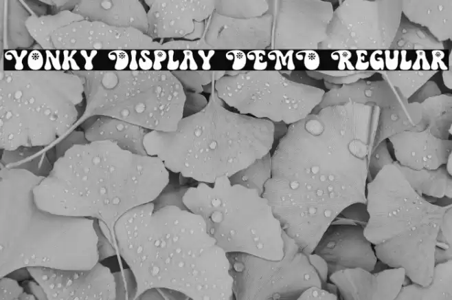 Yonky Display DEMO Regular Polices examples