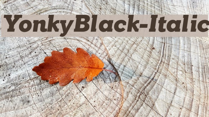 YonkyBlack-Italic Font examples