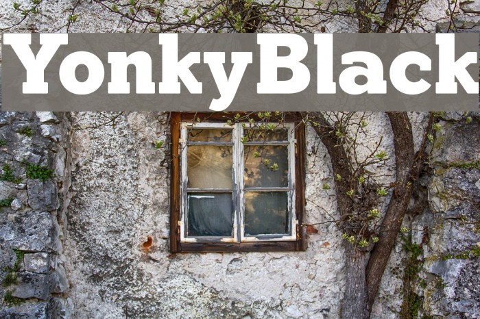 YonkyBlack Font examples