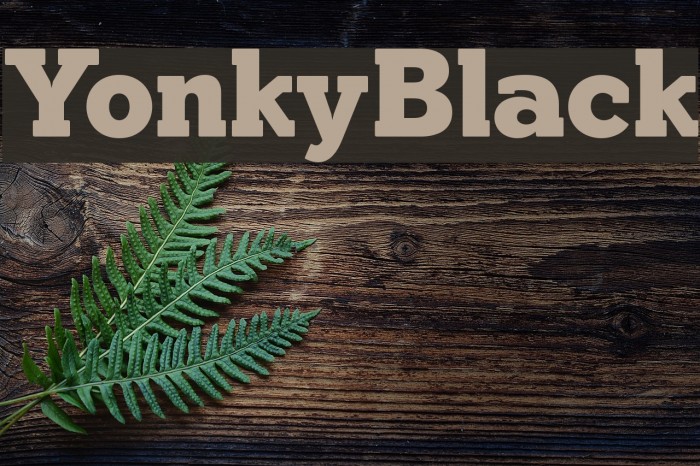 YonkyBlack Font examples