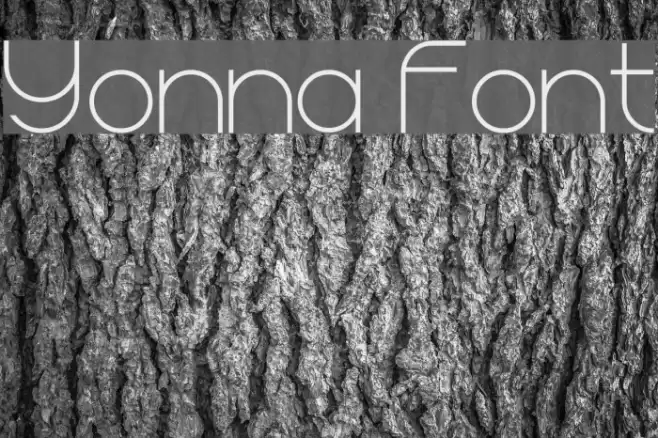 Yonna Font examples