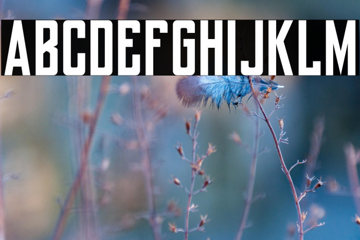 York Baile Hill Example 1