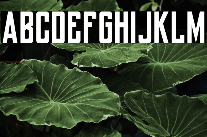 York Baile Hill Example 3