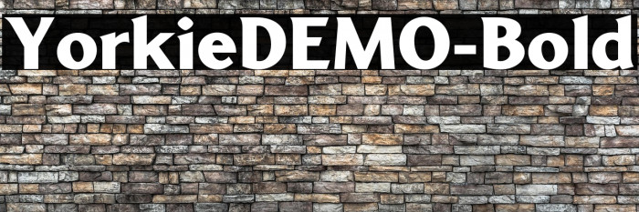 YorkieDEMO-Bold Example 1