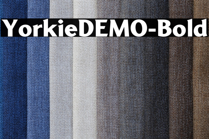 YorkieDEMO-Bold Example 2