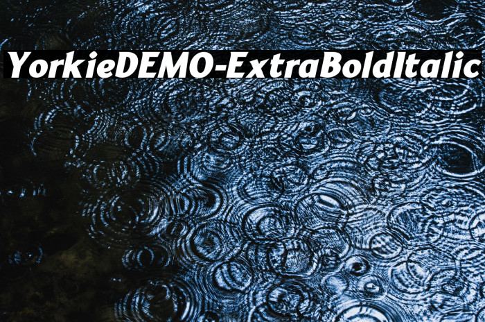 YorkieDEMO-ExtraBoldItalic Example 1