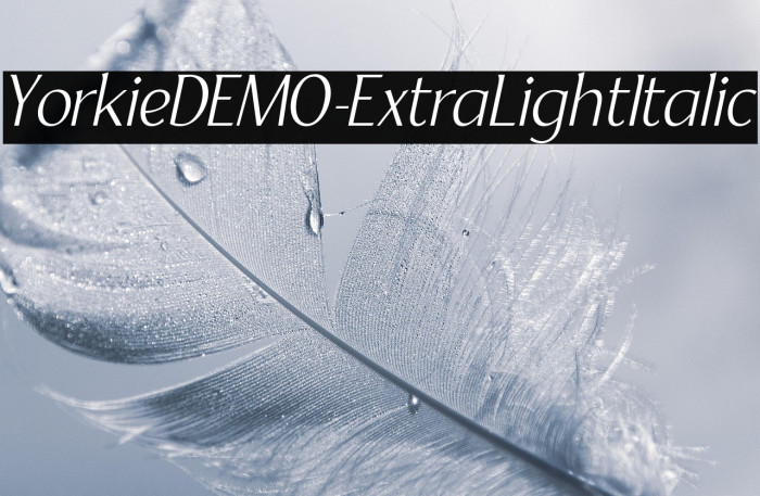 YorkieDEMO-ExtraLightItalic Example 1