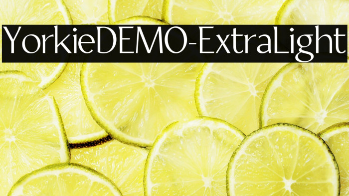 YorkieDEMO-ExtraLight Example 1