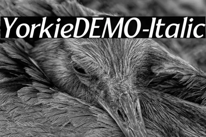 YorkieDEMO-Italic Font examples