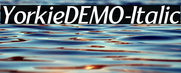 YorkieDEMO-Italic Example 2