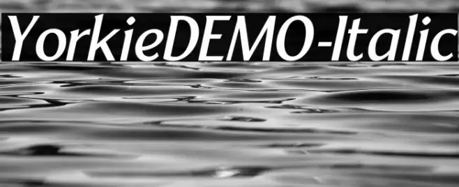 YorkieDEMO-Italic Font examples