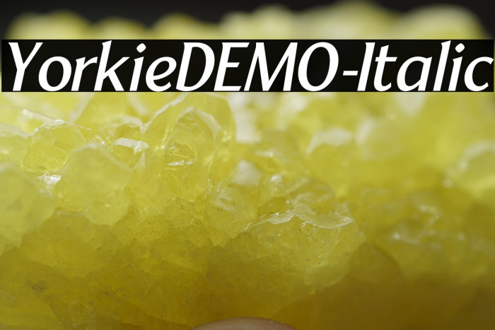 YorkieDEMO-Italic Example 3