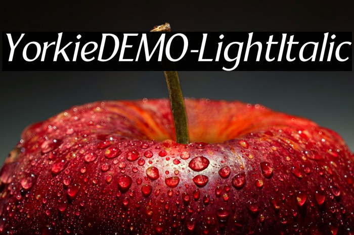 YorkieDEMO-LightItalic Example 1