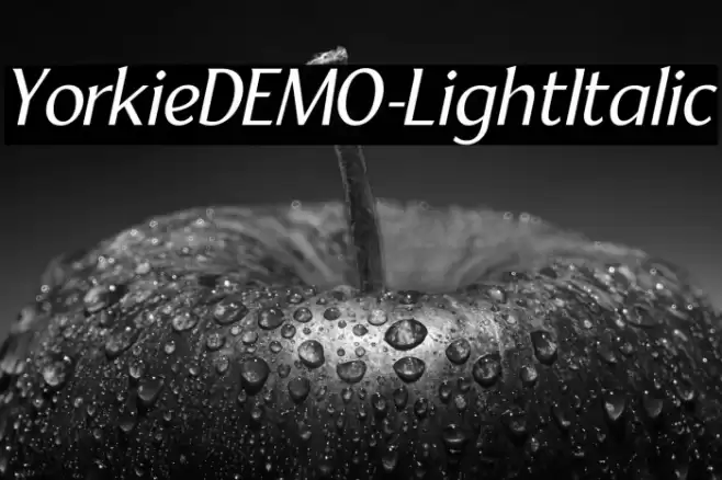 YorkieDEMO-LightItalic Font examples