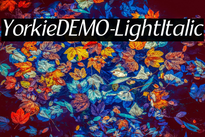 YorkieDEMO-LightItalic Example 2