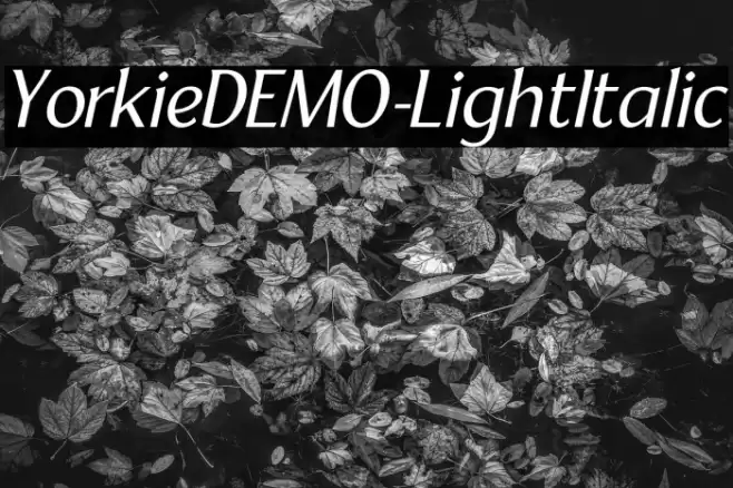 YorkieDEMO-LightItalic Font examples
