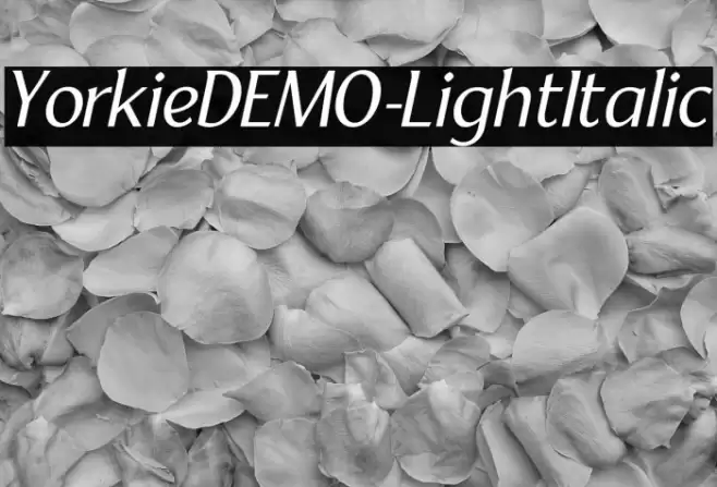 YorkieDEMO-LightItalic Font examples