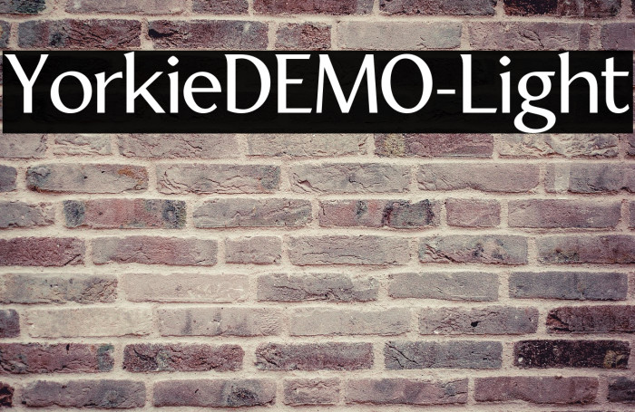 YorkieDEMO-Light Example 1