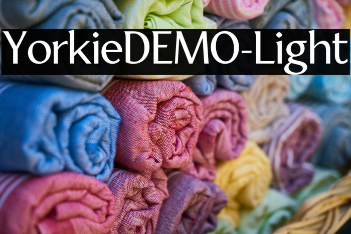 YorkieDEMO-Light Example 2