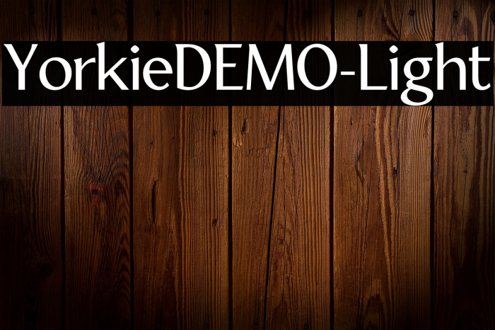 YorkieDEMO-Light Example 3