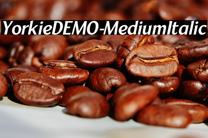 YorkieDEMO-MediumItalic Example 2