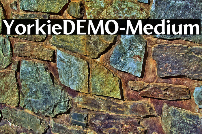 YorkieDEMO-Medium Example 1