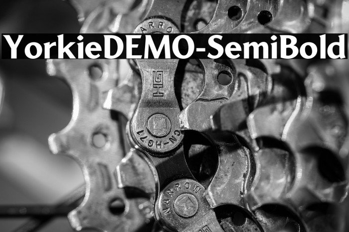 YorkieDEMO-SemiBold Example 1