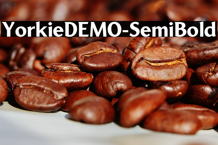 YorkieDEMO-SemiBold Example 2