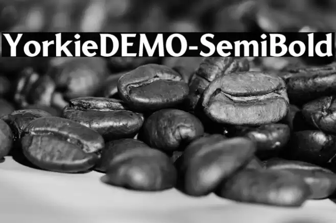 YorkieDEMO-SemiBold フォント examples