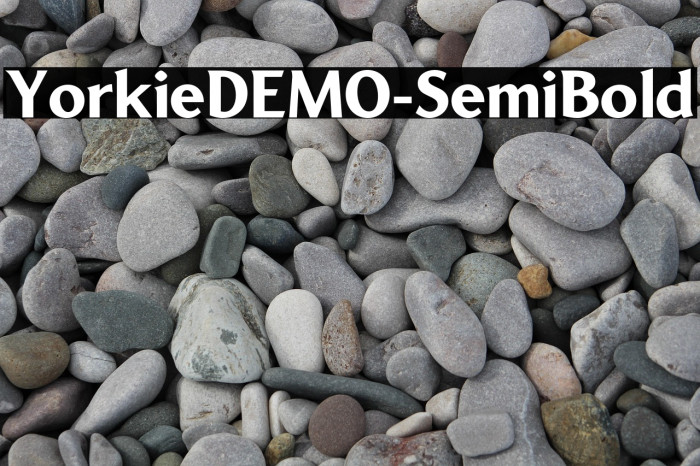 YorkieDEMO-SemiBold Example 3