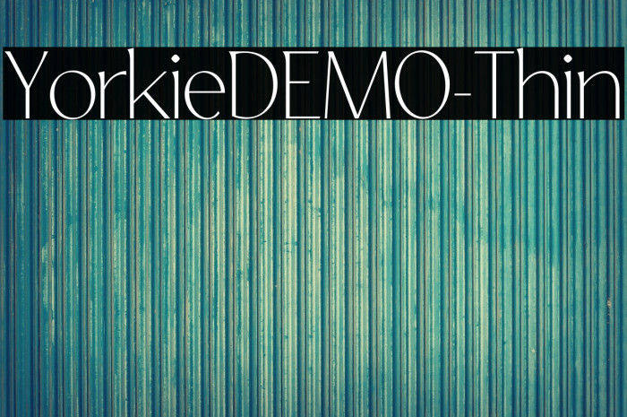 YorkieDEMO-Thin Example 1