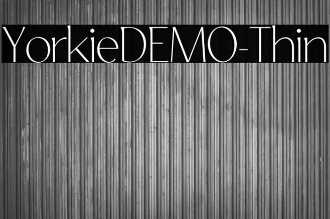 YorkieDEMO-Thin Font examples
