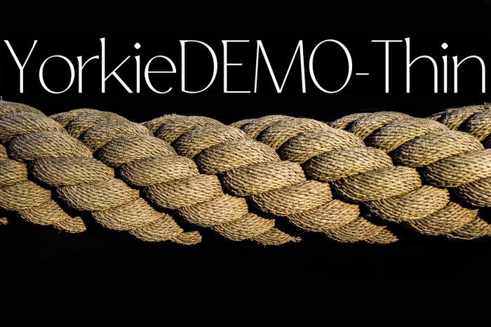 YorkieDEMO-Thin Example 2