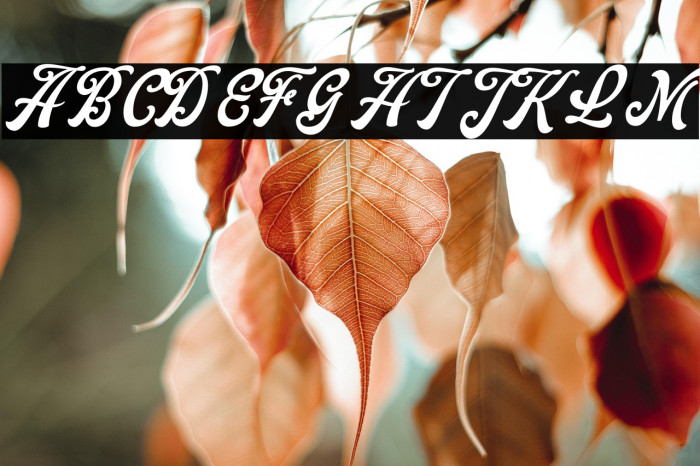 YorksonDEMO Example 3