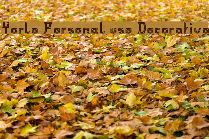 Yorle Personal use Decorative Font examples