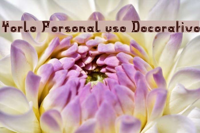 Yorle Personal use Decorative Font examples