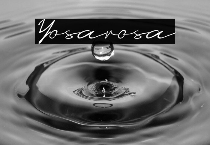 Yosarosa Example 3