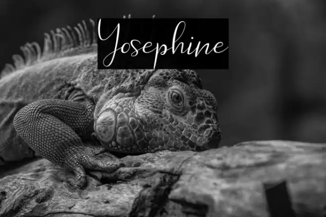 Yosephine Font examples