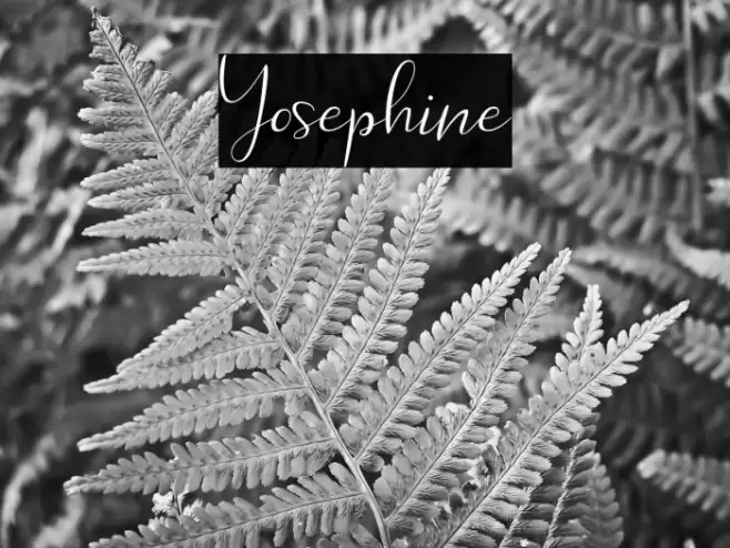 Yosephine Font examples
